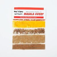 Nice 'n Spicy Masala Curry 10g