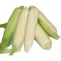 White  Mielies