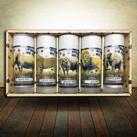 Gift Africa's Big Five Tall glass Coloured Set ( LIMITED STOCK)